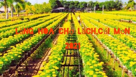 Các nhà khoa học phân tích - Cảm hứng video marketing từ Hotspot Matrix_Ý tưởng video ngắn